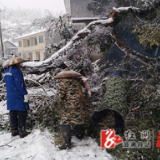 龙潭镇：按下路障“清除键”风雪兼程护平安