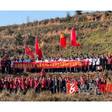 龙潭镇：植树添新绿 党旗别样红