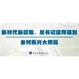 新时代新征程，总书记这样谋划乡村振兴大棋局