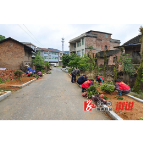 【新时代文明实践】黄茅园镇：开展植绿行动，助推美丽乡村建设
