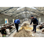 看中国·千家万户的事 脱贫攻坚瓦吉瓦 三河村正走出大凉山！