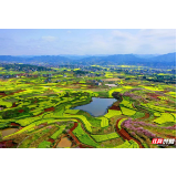 湖南溆浦： 以天地“粮”心守牢“湘西粮仓”