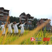 山背花瑶梯田稻黄景美醉游人