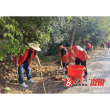 观音阁镇：集中大清扫，人居环境整治提升“百日攻坚”我们在行动