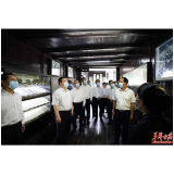 张庆伟在凤凰县芷江侗族自治县调研：切实加强文物和文化遗产保护传承 在全面推进乡村振兴中走出新路子
