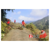 沿溪乡：清除路旁杂草 助力人居环境整治