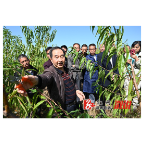 溆浦县老科协举办全县落叶果栽培经验交流暨技术培训会