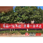 溆浦县产业开发区：加强从业人员背景审查 提高企业防毒拒毒意识