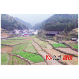 深子湖镇曾家溪村：农村人居环境整治 和美乡村入画来