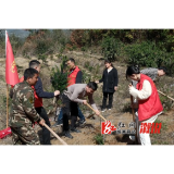 大江口镇：开展“植新绿 续新风”植树活动