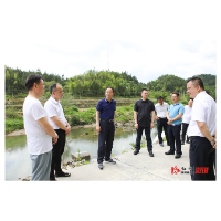 做潜功求潜绩守底线 切实守护好溆浦“一江碧水” —— 杨廉喜开展溆水国控、省控断面水环境治理工作 专题调研
