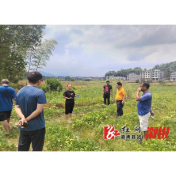 【营商环境】助企纾困, 科技特派员深入农企解难题