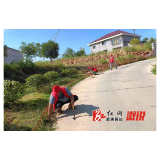 油洋乡：参与环境卫生大整治 争做洁美家园践行者
