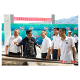 坚持在务实节俭中办出高水平、办出高品位 ——郑湘带队到大江口镇调度第三届溆浦县“大江口•大端午”龙舟文化节筹备工作