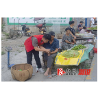 社保服务惠民生——三江镇开展社保宣传活动