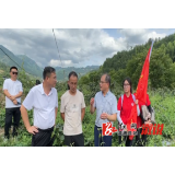 科技赋能乡村振兴，按下发展“快进键”