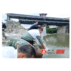 龙潭镇：增殖放流 助力水域生态环境改善
