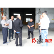 张伟到乡镇调研水稻制种产业发展