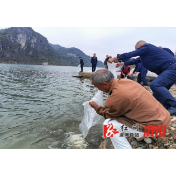 污染担责 损害赔偿  我县开展生态损害赔偿增殖放流活动