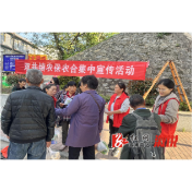 双井镇：医保社保缴费轻松办  我有“湘易办”