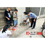 暖心！猫头鹰幼崽受伤，学生、民警联手救助