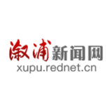 溆浦县政务服务中心：关于推进“数字政务提质增效” 的探索与实践