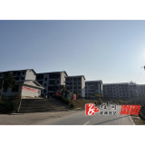 三江镇：激活绿色生命力  人居环境展新姿