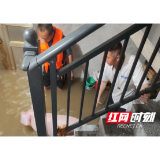 低庄镇：人大代表众志成城，打赢防洪抗灾重建攻坚战