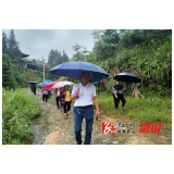 两丫坪镇：严防死守，“汛”速行动