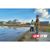 卢峰镇：多举措筑牢秸秆禁烧与森林防火“双防线”