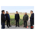 夯实农业生产基础 筑牢粮食安全屏障——杨廉喜到乡镇调研“四冬”生产工作