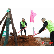 履行植树义务 共建美丽溆浦——郑湘、杨廉喜等县领导参加全县义务植树活动