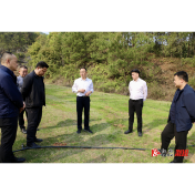 杨廉喜调研矿产资源开发利用工作