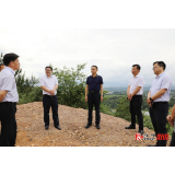 杨廉喜到乡镇调研通信基础设施建设工作
