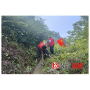观音阁镇：学员共赴“思想盛宴”