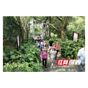 2025海峡两岸和平文化之旅——海峡两岸青年歌会 聚焦抗战决胜地龙潭