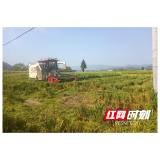 水东镇：高标准农田建设 筑牢农业新“耕”基