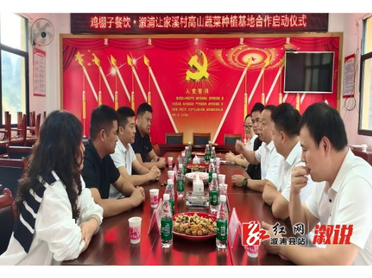深子湖镇:订单牵起“菜园”与“后厨” 高山蔬菜走出大山