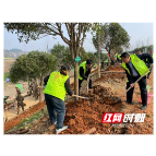 为春添加一抹绿——怀化市生态环境局溆浦分局开展义务植树活动