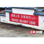 三江镇龙泉山村:太极展风采 振兴添活力