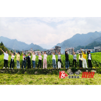 一场寻春之旅  乡村学校摄影班的“光影梦想”