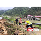 三江镇：快速处置落石险情 筑牢汛期道路安全防线
