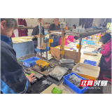 双井镇开展人大代表集中进站暨政策法规宣传行动