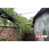 扛牢民政兜底责任 织密汛期安全防护网