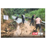 溆浦县：干群雨中“硬核”清障 守护山区“生命线”