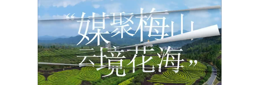 媒聚梅山·云境花海 赏山水风光，品梅山风情 山清水秀、游乐齐全，藏在梅山深处的夏日浪漫，等你来赴约