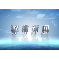 2026年8月10日溆浦新闻