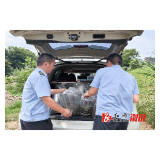 深子湖镇:执法亮剑护碧水 主动放生补生态