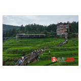 酷暑觅清凉!溆浦山背花瑶梯田23℃云海秘境引客来
