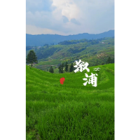 这个小众秘境后劲太大啦 